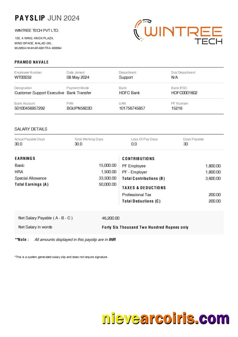 Wintree Tech payslip